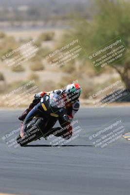 media/May-14-2023-SoCal Trackdays (Sun) [[024eb53b40]]/Turn 5 Tree of Life (1125am)/